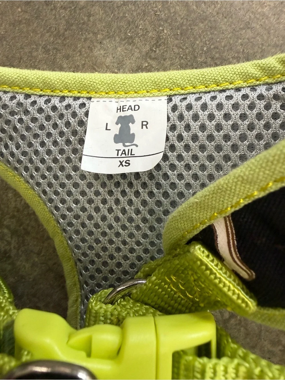 Dog Harness with Lime Trim and Paw & Bone Pattern by Costal